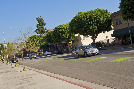 New trees will take years to offer a fraction of the shade and other benefits that the ficus trees slated for removal do. Sahra Sulaiman/Streetsblog L.A.