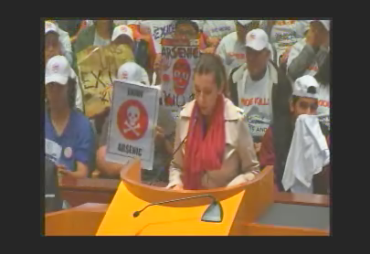 Concerned citizens, representatives of elected officials, steelworkers, and Exide spokespeople packed the last public hearing on Exide before the AQMD governing board. (webcast screenshot)