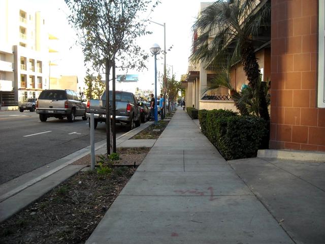 La Brea Avenue, looking south: Same gloomy sidewalk. Non-descript trees (albeit drought-resistant). Landscaping barely improved.