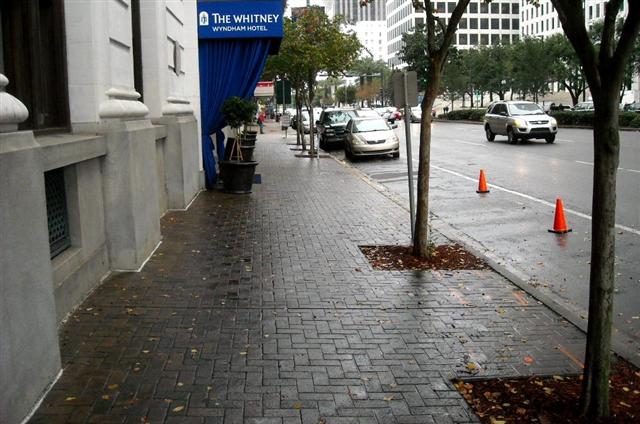 Downtown New Orleans: Another type of pedestrian-friendly sidewalk pavement, combined with trees.