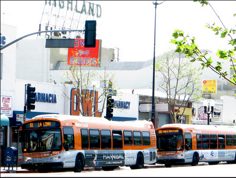 Metro Line 81 buses on North Figueroa Street. Photo: ##https://www.flickr.com/photos/fig4all/8745176419/##Fig4All/Flickr##