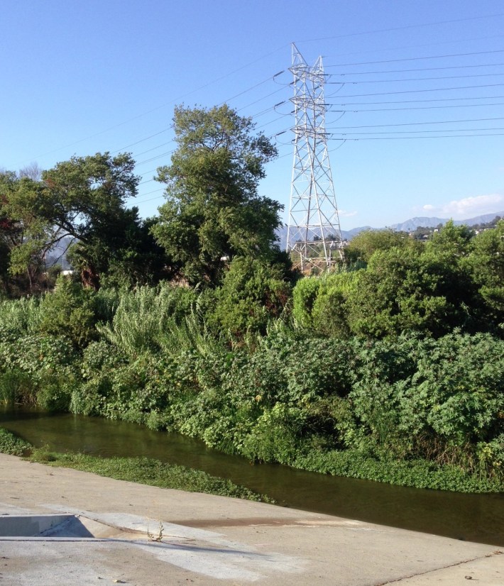 The Glendale Narrows stretch of the Los Angeles River. Though the sides are concrete, the earth bottom supports tall trees growing in a largely natural river. Photo by Joe Linton/Streetsblog L.A.