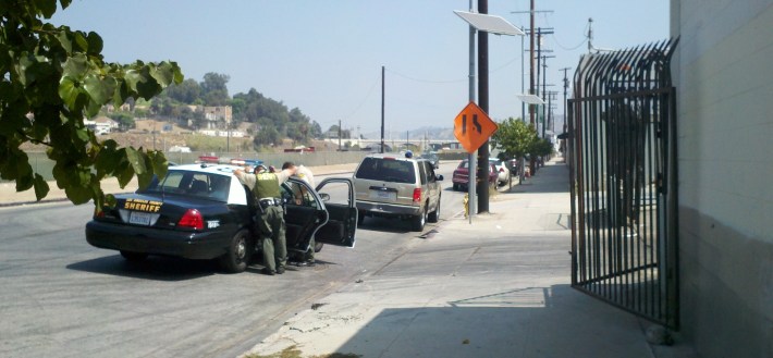 Bottle thrower in cuffs in back of LAPD car. Photo by Roger Rudick