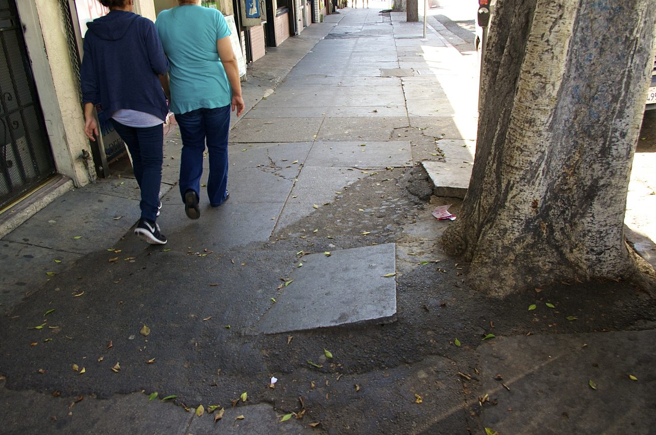 Trees provide wonderful shade but have destroyed the sidewalks along Cesar Chavez. Sahra Sulaiman/Streetsblog L.A.
