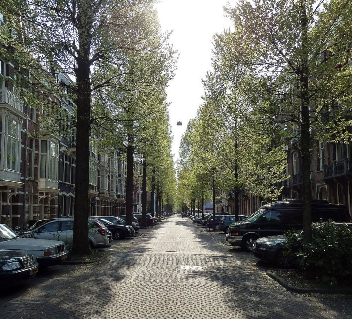 Tree-lined street in Amsterdam. Photo by Rob Young via Wikimedia