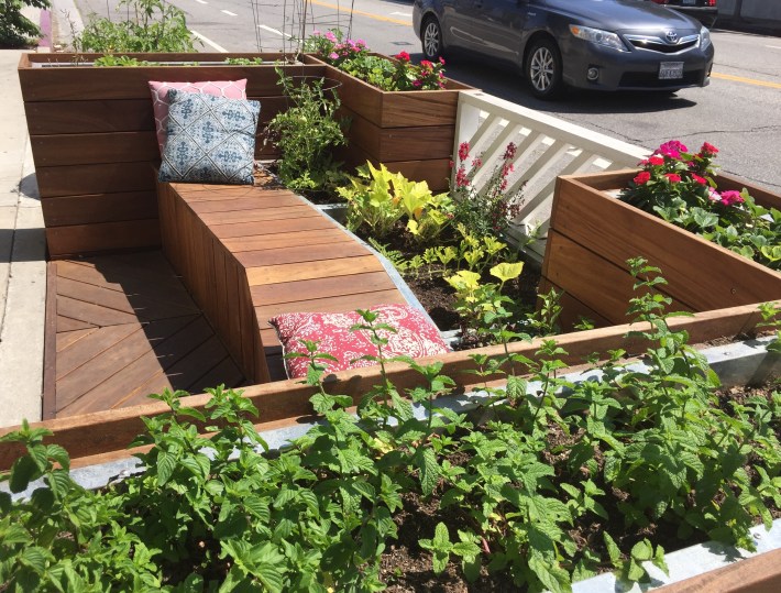 Herbs and vegetables in the north parklet