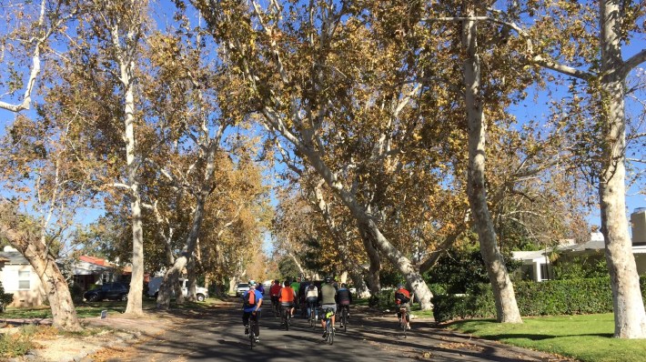 LACBC's tour of North Hollywood featured dramatic sycamore-lined streets