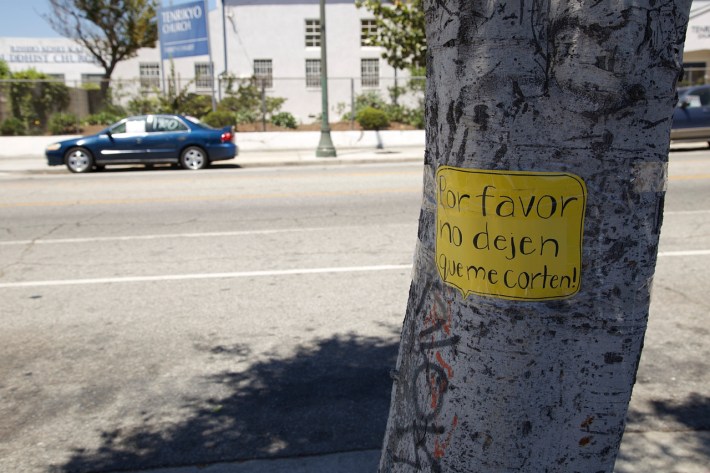 Please don't cut .Sahra Sulaiman/Streetsblog L.A.