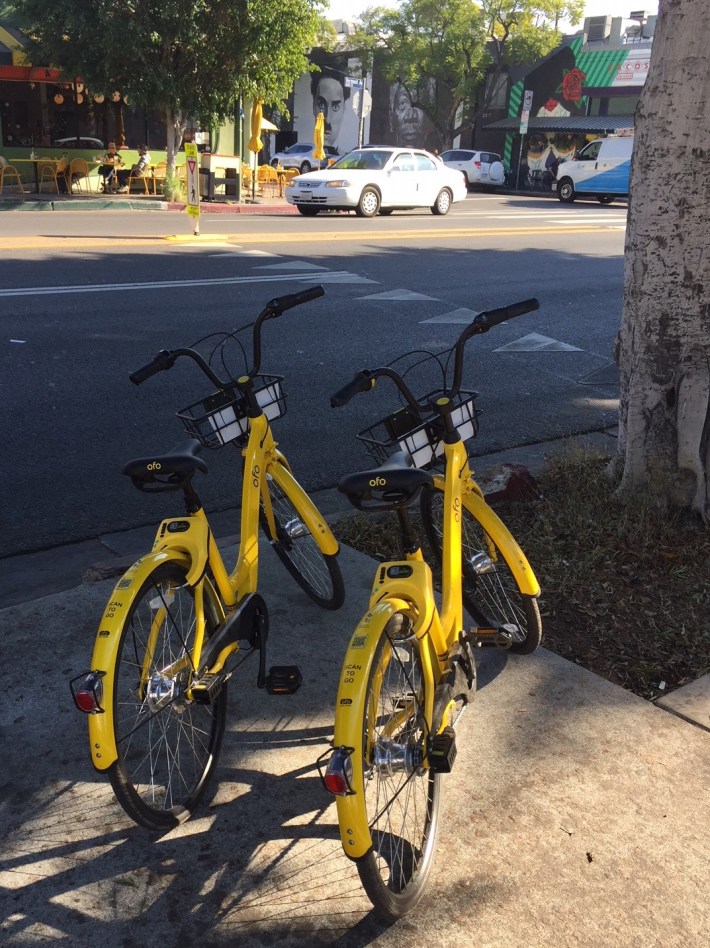 ofo DoBi bikes on Vermont Avenue in Los Feliz
