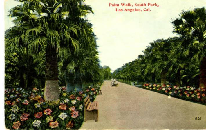 Palm Alley Walkway circa 1910. Postcard courtesy CSUDH archives.