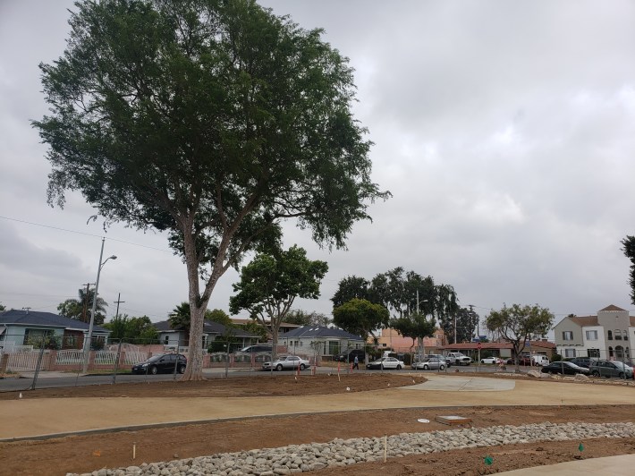 While more than 300 native and drought tolerant trees will be planted as a part of the project, many of the existing trees were kept if possible. Kristopher Fortin/Streetsblog LA
