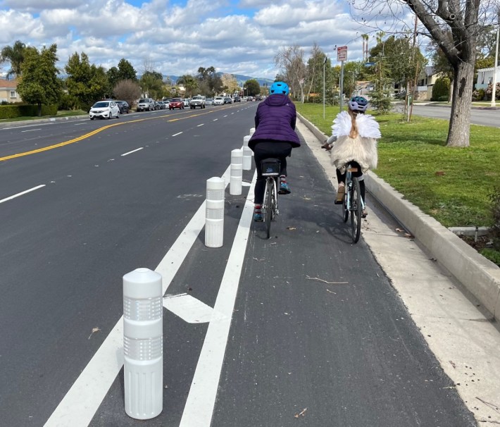Newly plastic-post-protected bike lane on White Oak Avenue. (SBLA editor's family pictured, heading to last month's CicLAvia)